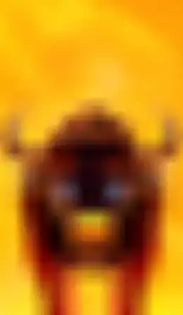 Big Wild Buffalo 2